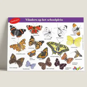 DKVlindersophetschoolplein-webshop-JDR
