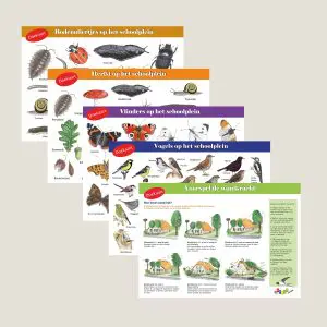 DKsetdoekkaarten-webshop-JDR