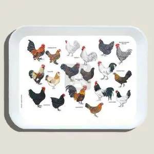 Dienbladkippen-webshop-JDR