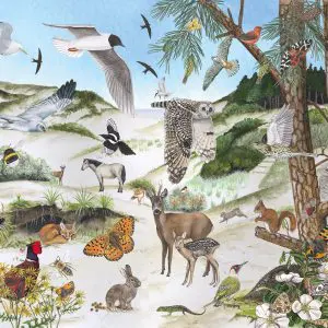 Duinlandschap-webshop
