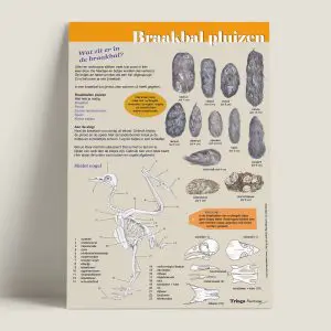 EKBraakballenpluizen-webshop-JDR