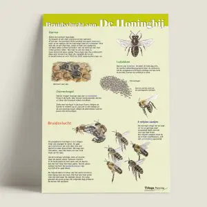 EKBruidsvluchtvandehoningbij-webshop-JDR_7f5c92c0-49d1-4bcc-a50a-bfd77bc44b22