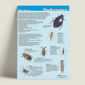 EKHetlevenonderwater-webshop-JDR-1