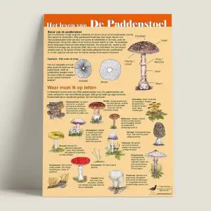 EKHetlevenvandepaddenstoel-achterkant-webshop-JDR