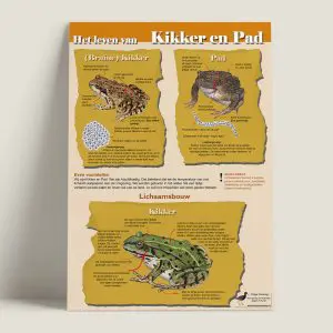 EKHetlevenvankikkerenpad-voorkant-webshop-JDR