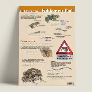 EKHetlevenvankikkerenpad-webshop-JDR