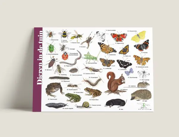 Herkenningskaart Dieren in tuin