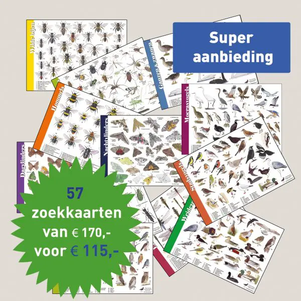 Herkenningskaarten, Zoekkaarten
