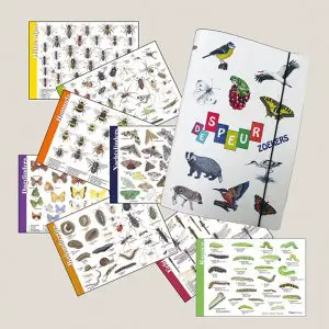 Herkenningskaarten Insecten, dagvlinders, nachtvlinders, libellen, bodemdiertjes