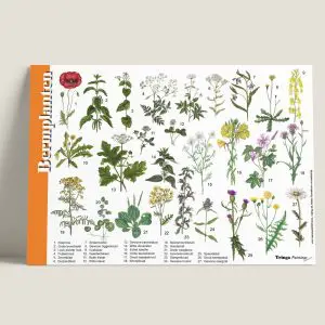 HKBermplanten-webshop-JDR