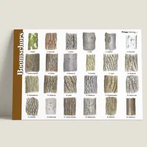 HKBoomschors-webshop-JDR