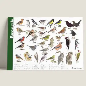 HKBosvogels-webshop-JDR_d2af3887-7cab-4e36-95a6-5f3f971d5d51