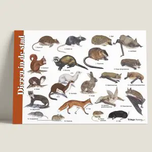 HKDierenindestad-webshop-JDR