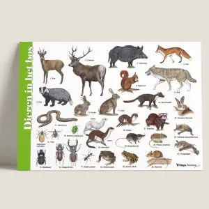 HKDiereninhetbos-webshop-JDR_f13f2dd5-b91b-4efc-a77c-46bed36ddf9d