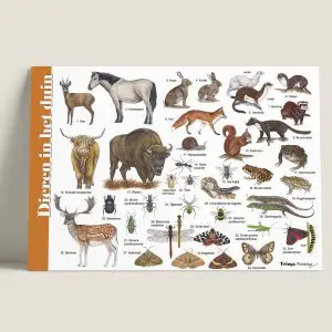 HKDiereninhetduin-webshop-JDR