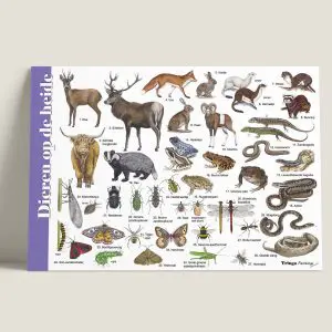 HKDierenopdeheide-webshop-JDR