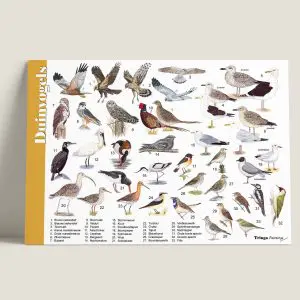 HKDuinvogels-webshop-JDR