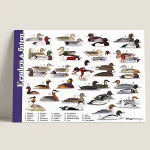 HKEendenenfuten-webshop-JDR