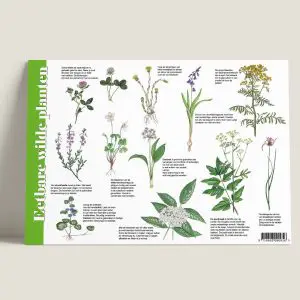 Herkenningskaart “Eetbare wilde planten” (art.nr. 981051)