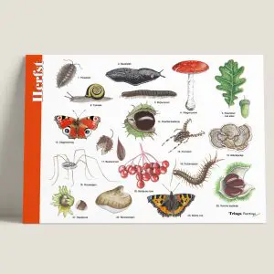 HKHerfst-webshop-JDR