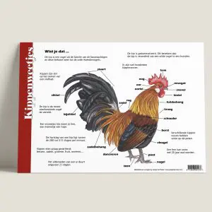 HKKippen-achterkant-webshop-JDR