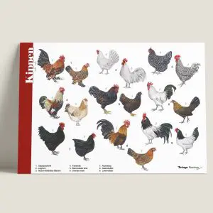 HKKippen-webshop-JDR