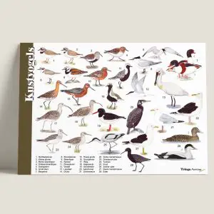 HKKustvogels-webshop-JDR