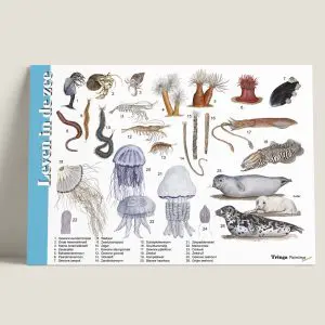 HKLevenindezee-webshop-JDR_7796e856-0217-46fe-a09e-943f3583ca65