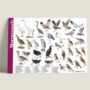 Herkenpaneel "Moerasvogels" (6910191)