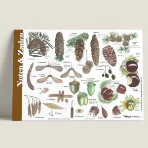 HKNoten_zadenenvruchten-webshop-JDR