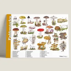 Herkenningskaart "Paddenstoelen" (art.nr. 991011)