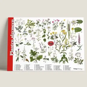 HKPlanten-webshop-JDR_22e17acb-6527-41e6-9d55-6f122eb37ab7
