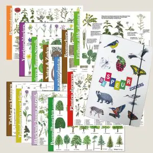 Set herkenningskaarten "Bomen en Planten" met opbergmap (art.nr. 910529)