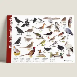 Herkenningskaart "Plattelandsvogels" (art.nr. 910061)