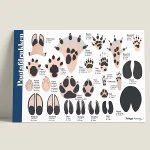 HKPootadrukken-webshop-JDR
