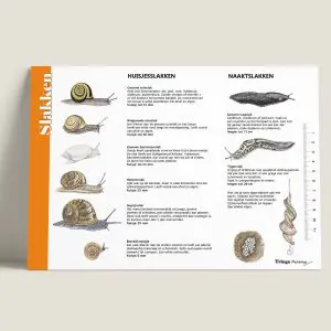 HKSlakken-webshop-JDR