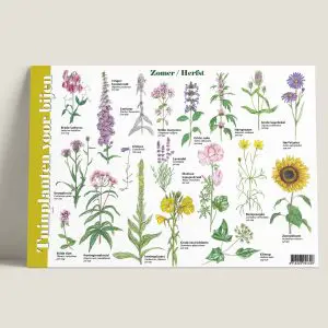 HKTuinplantenvoorbijen-zomer-webshop-JDR_9f04be47-ecce-41e3-8da4-2980dc2427c4
