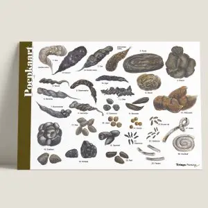 HKUitwerpselen-webshop-JDR