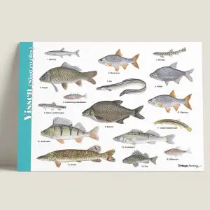 HKVissen-webshop-JDR