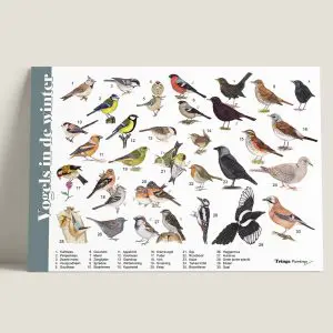 HKVogelsindewinter-webshop-JDR