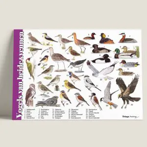 Herkenpaneel "Vogels van heide en vennen" (art.nr. 6910151)
