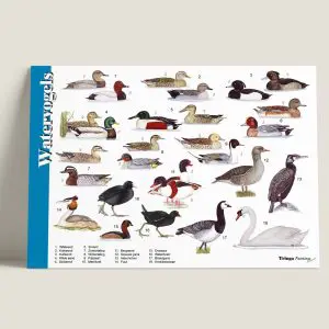 Herkenningskaart "Watervogels" (art.nr. 910131)