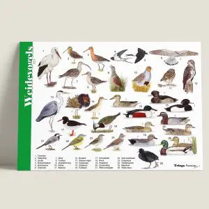 Herkenningskaart "Weidevogels" (art.nr. 910141)