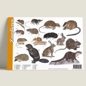 HKZoogdieren-achterkant-webshop-JDR