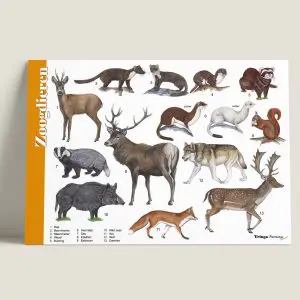 HKZoogdieren-voorkant-webshop-JDR_092839bf-8279-4630-b8e3-5beea83d96f3
