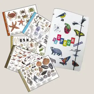 Set herkenningskaarten "Kust" + opbergmap (art.nr. 910520)
