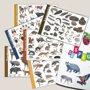 HKsetZoogdieren_opbergmap-sp-webshop-JDR