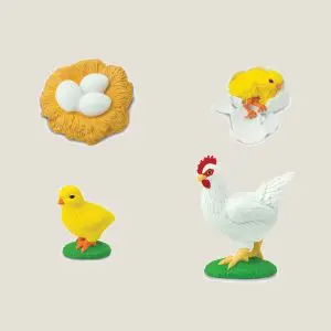 Hetlevenvandekip-webshop-JDR