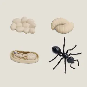 Hetlevenvandemier-webshop-JDR