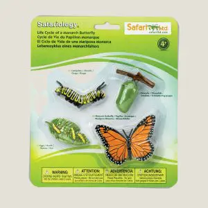 Hetlevenvandevlinder-cover-webshop-JDR